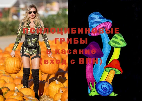 соль курить ск Арсеньев